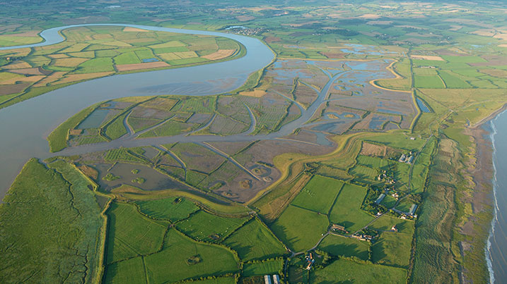 Steart Marshes from the air