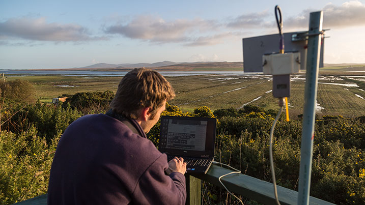 Monitoring geese on Islay