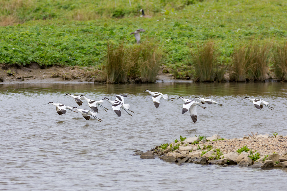 Wildlife sighting 22/08/2021