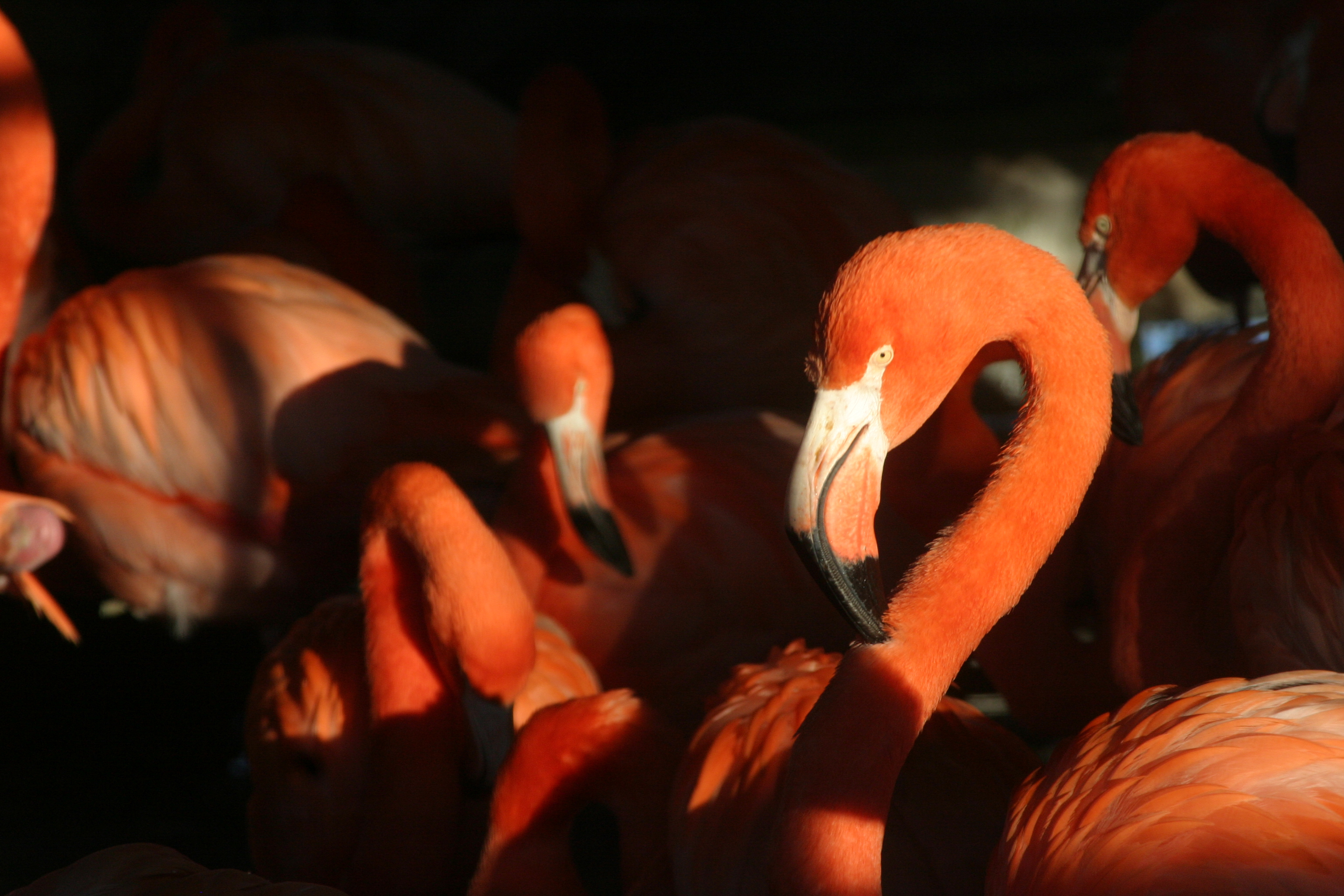 Llanelli Wetland Centre to re-open on 15 July