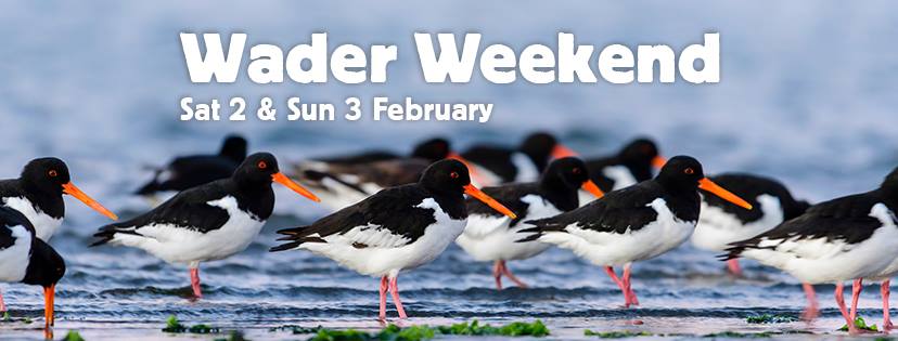 Wader Weekend Saturday  2nd & Sunday 3rd February