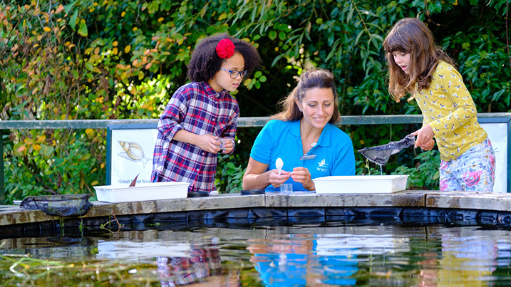 pond_dipping_717x403.jpg