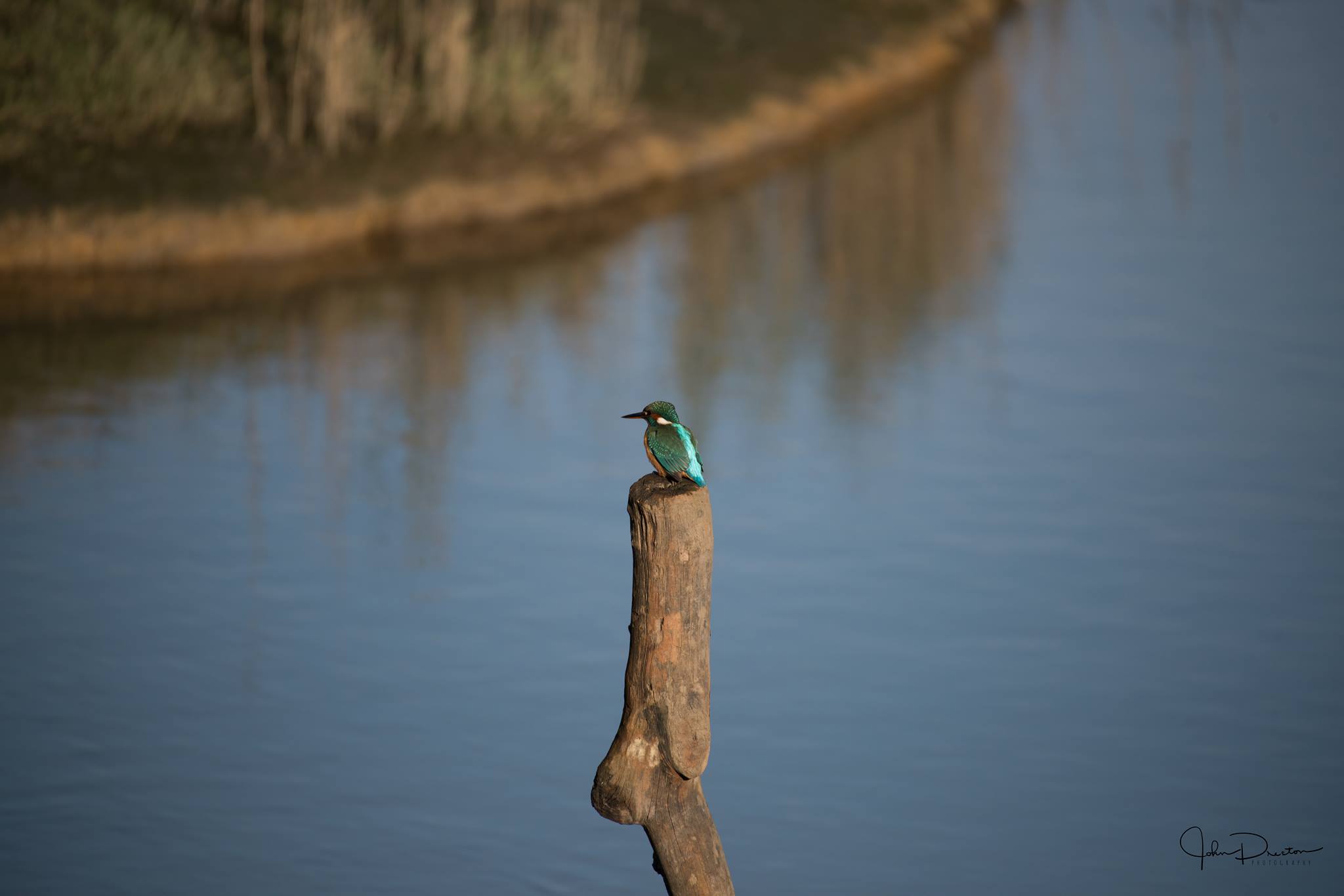 Wildlife Sightings - 10/02/2020