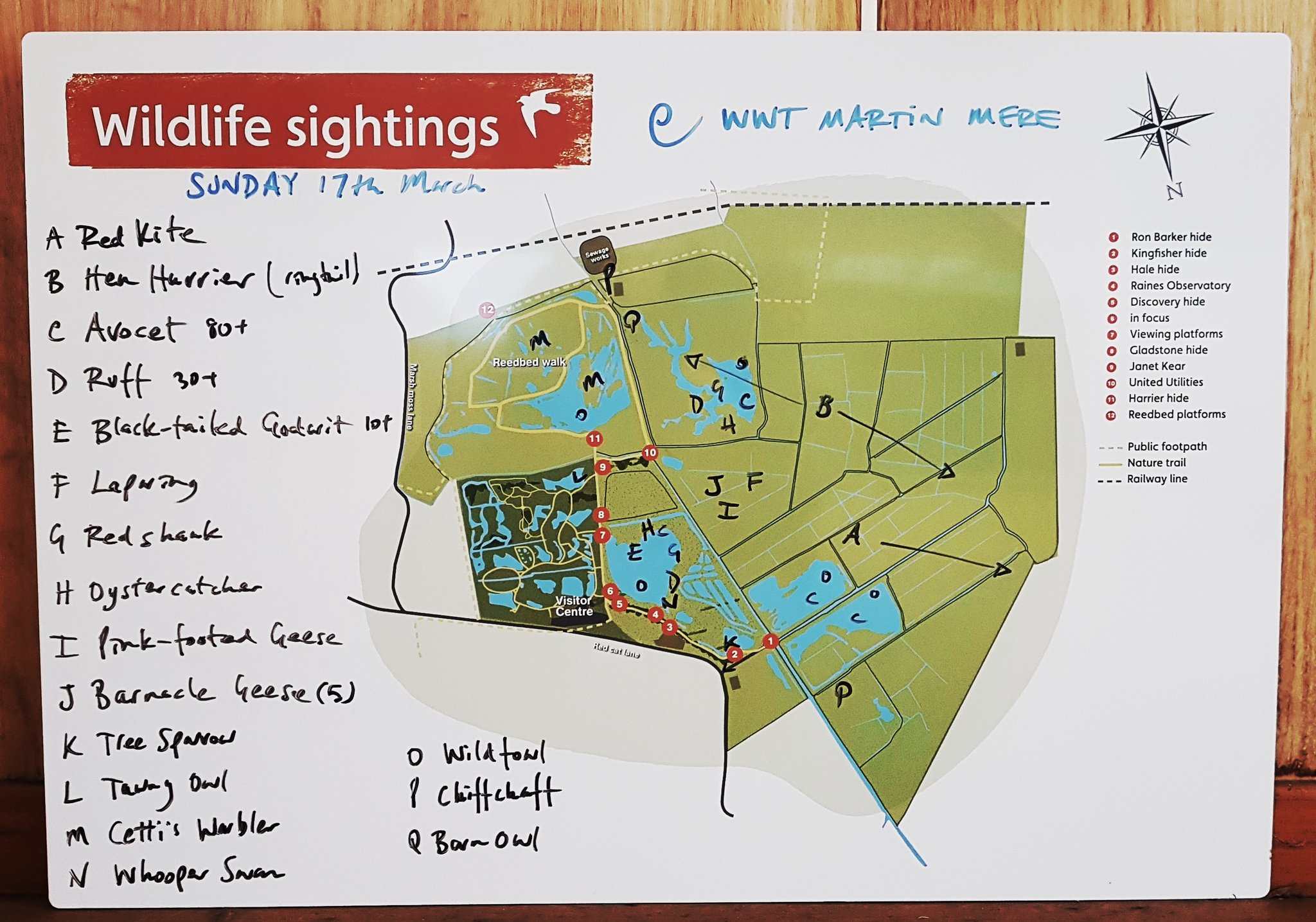 Sighting Map Sunday