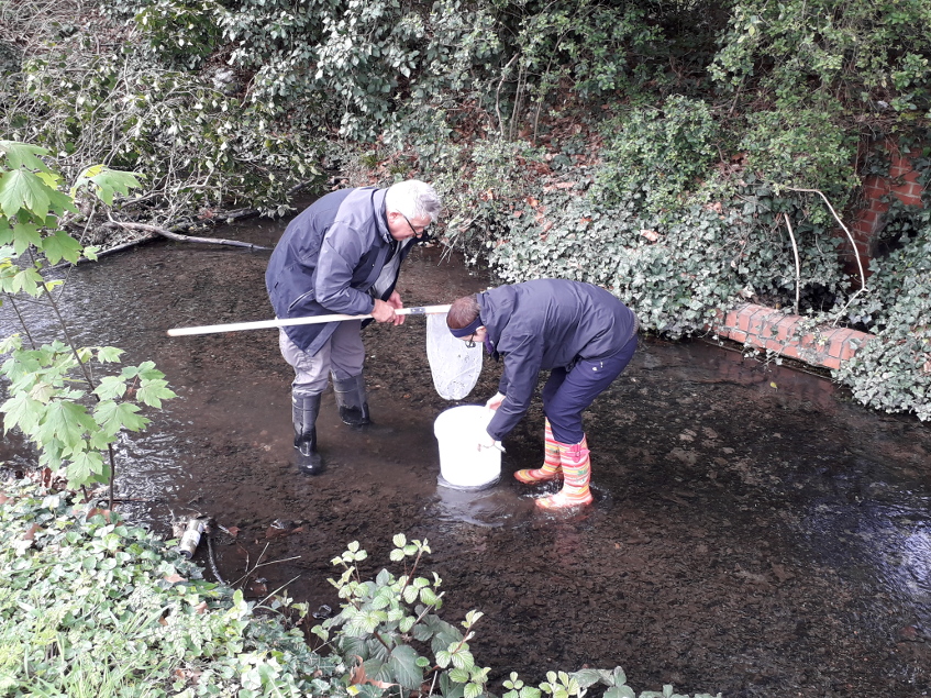 Slough residents turn animal detectives to save local stream