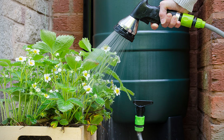 Tips for saving water in the garden