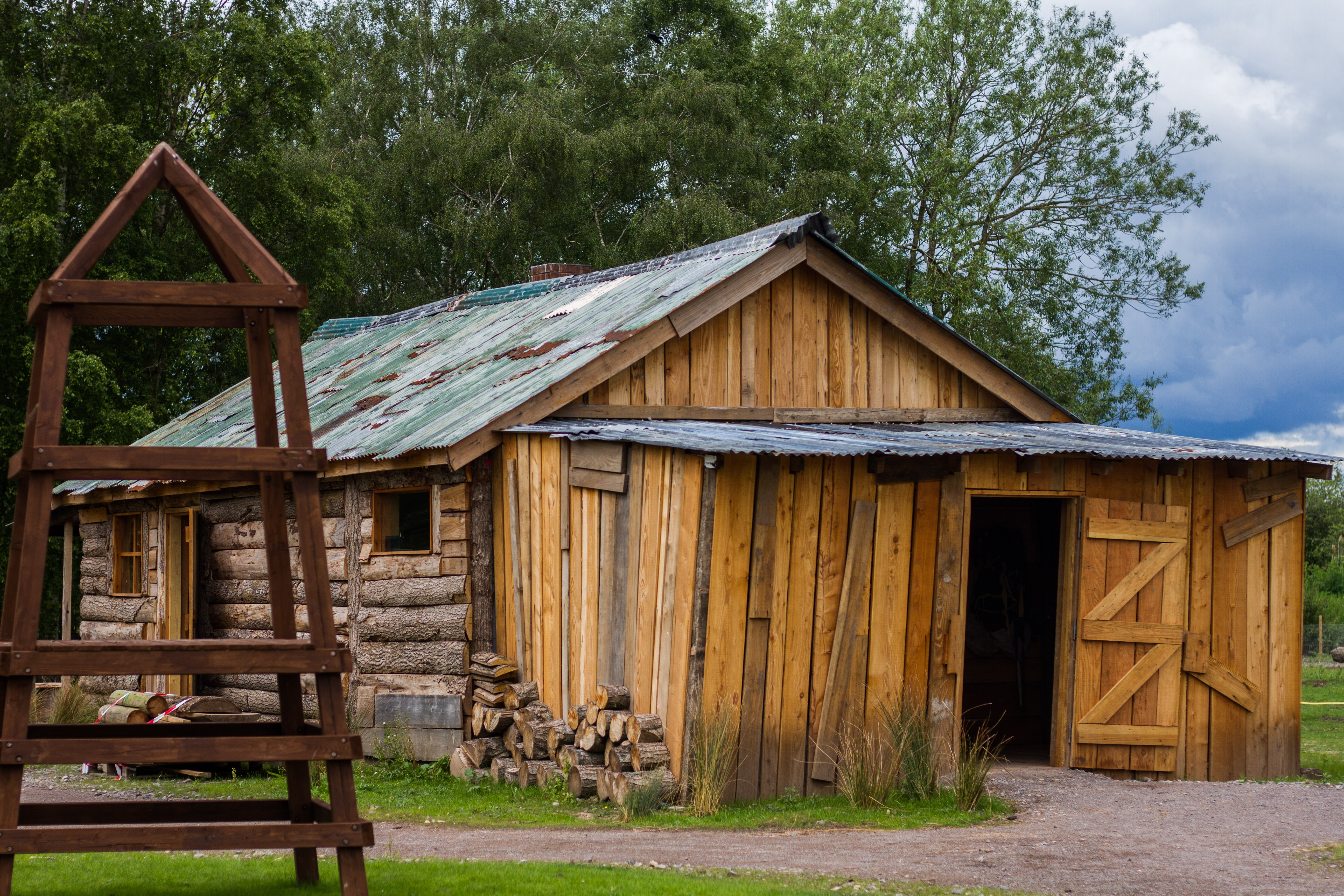 Passport ready? Get set for your Global Adventure this summer at Slimbridge