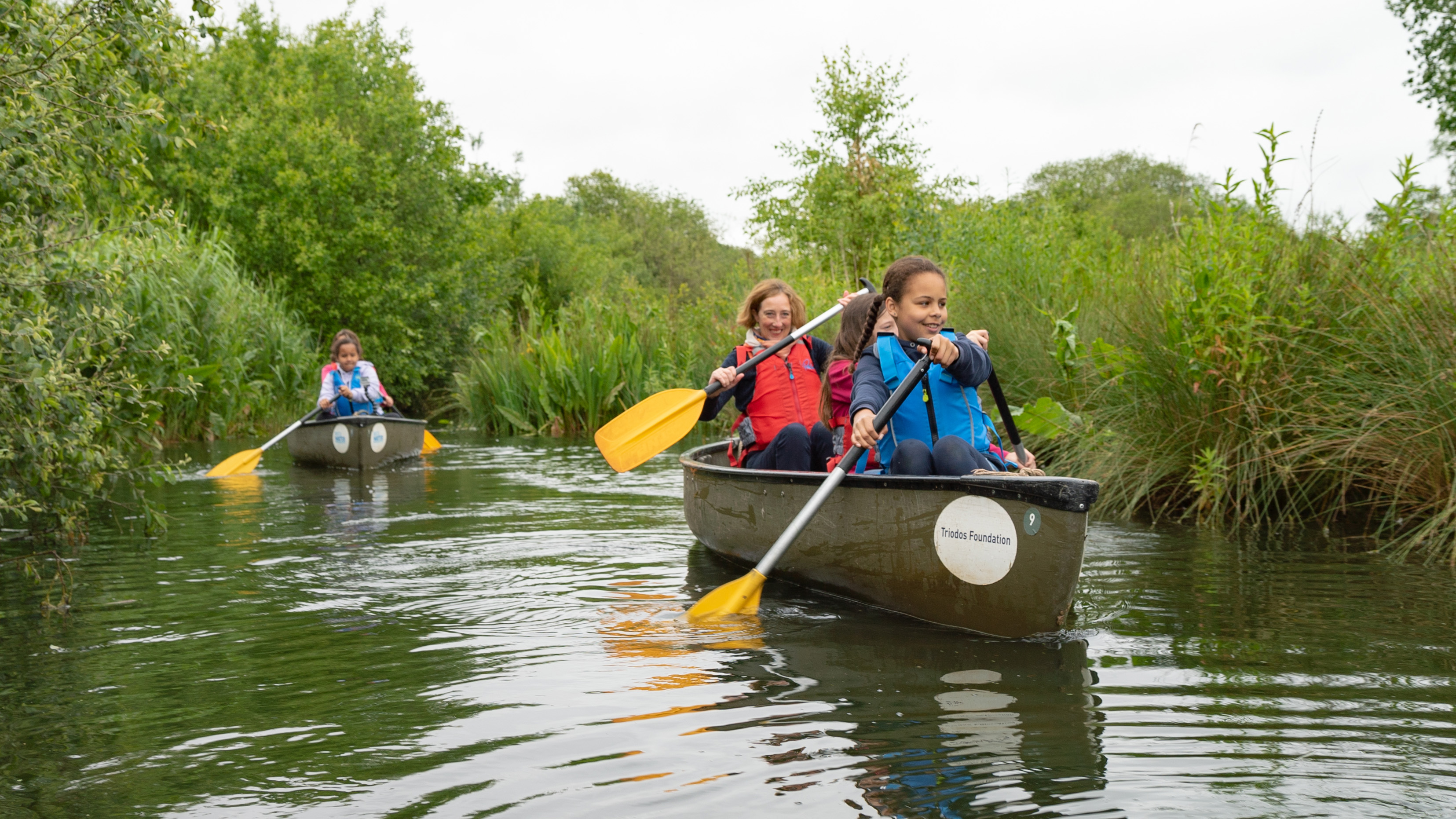 WWT Slimbridge earns 2019 TripAdvisor Certificate of Excellence 