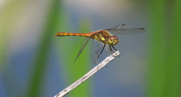 Today's sightings - 21/08/2019