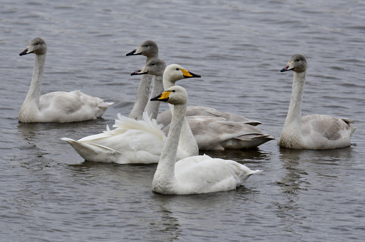 Today's sightings - 08/11/2019