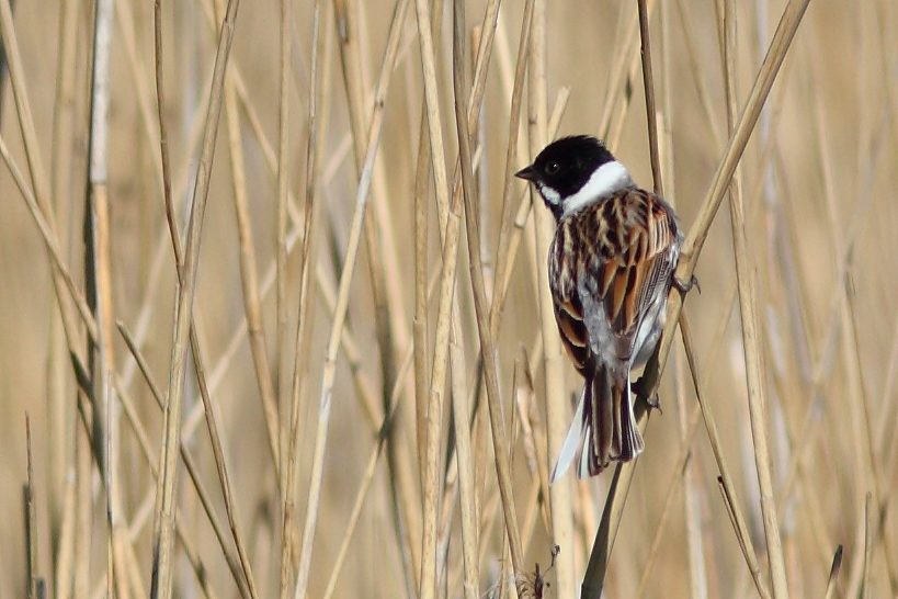 Today's sightings - 13/09/2019