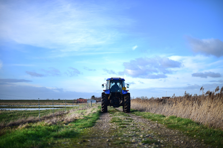 WE-SJ-Tractor2-web.jpg