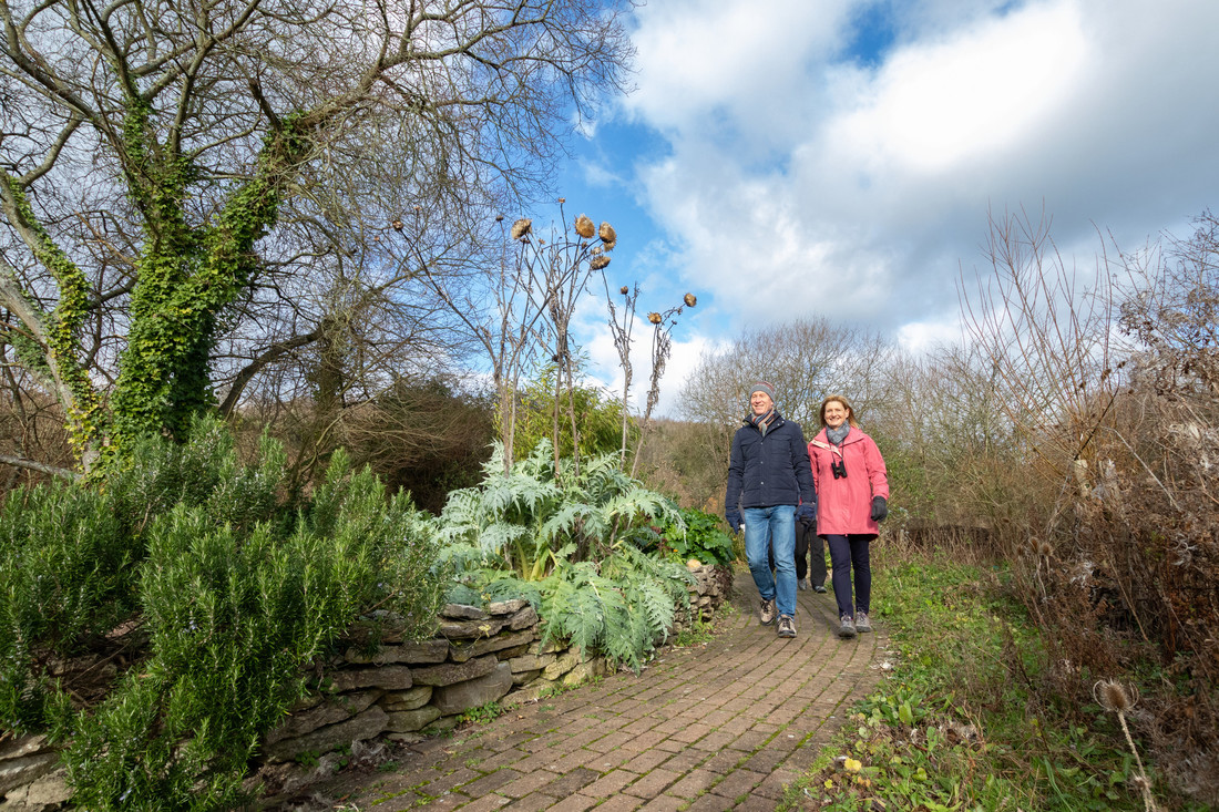 Arundel is open for wintery wildlife walks