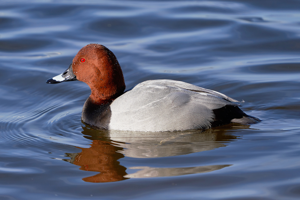 Today's sightings - 04/09/2019