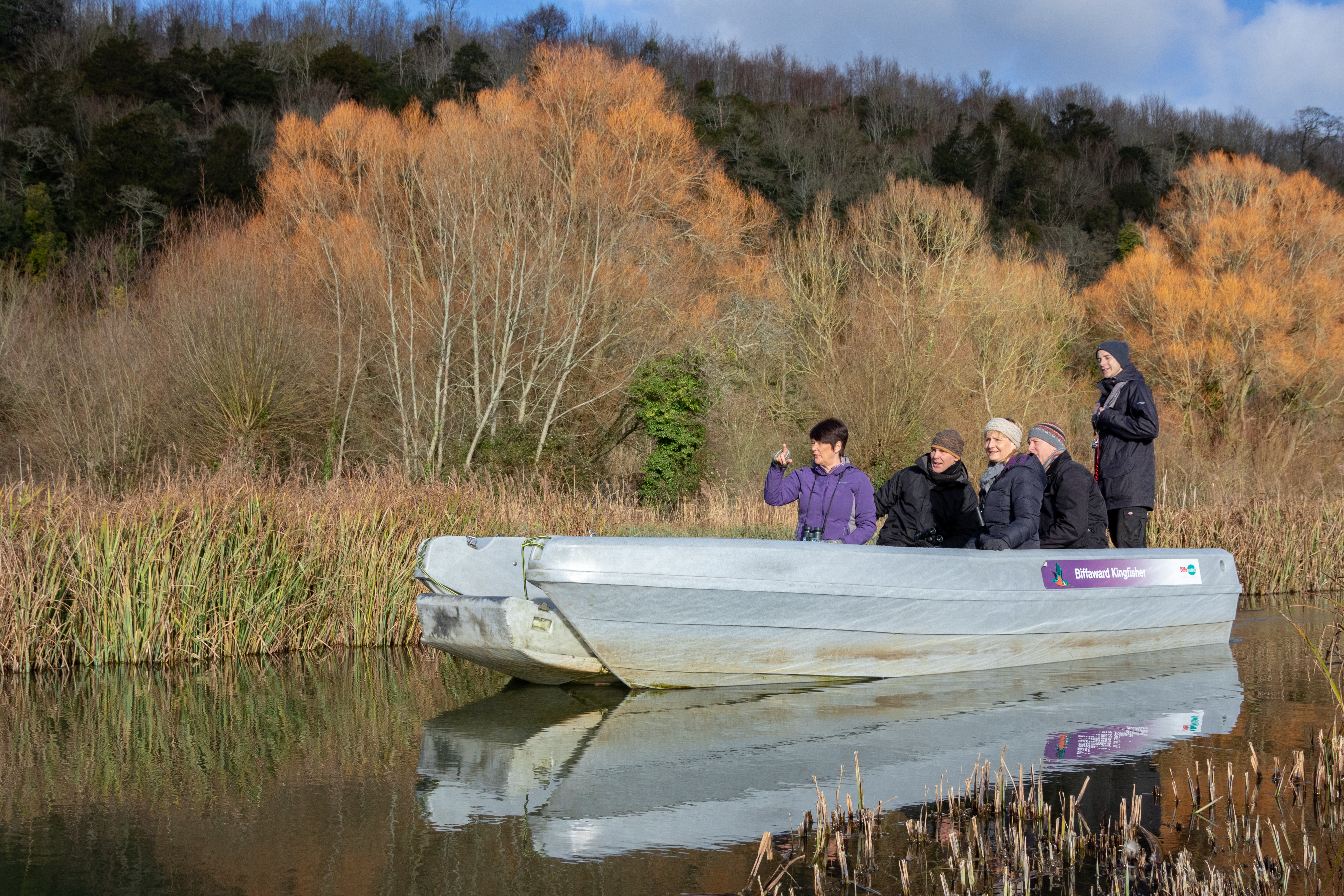 Enjoy a wild winter at WWT Arundel