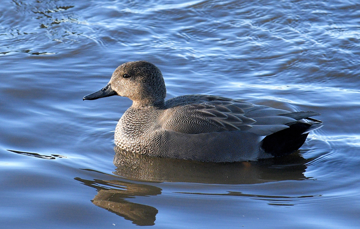 Sightings for Friday 21st February