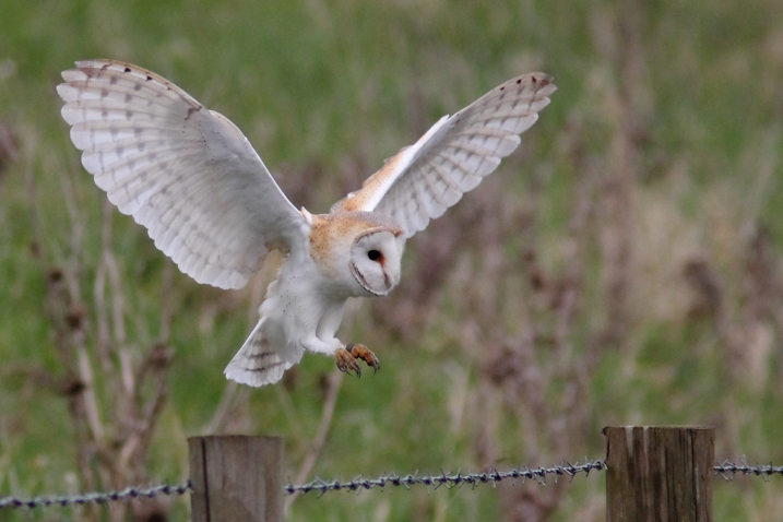 Today's sightings - 16/01/2020