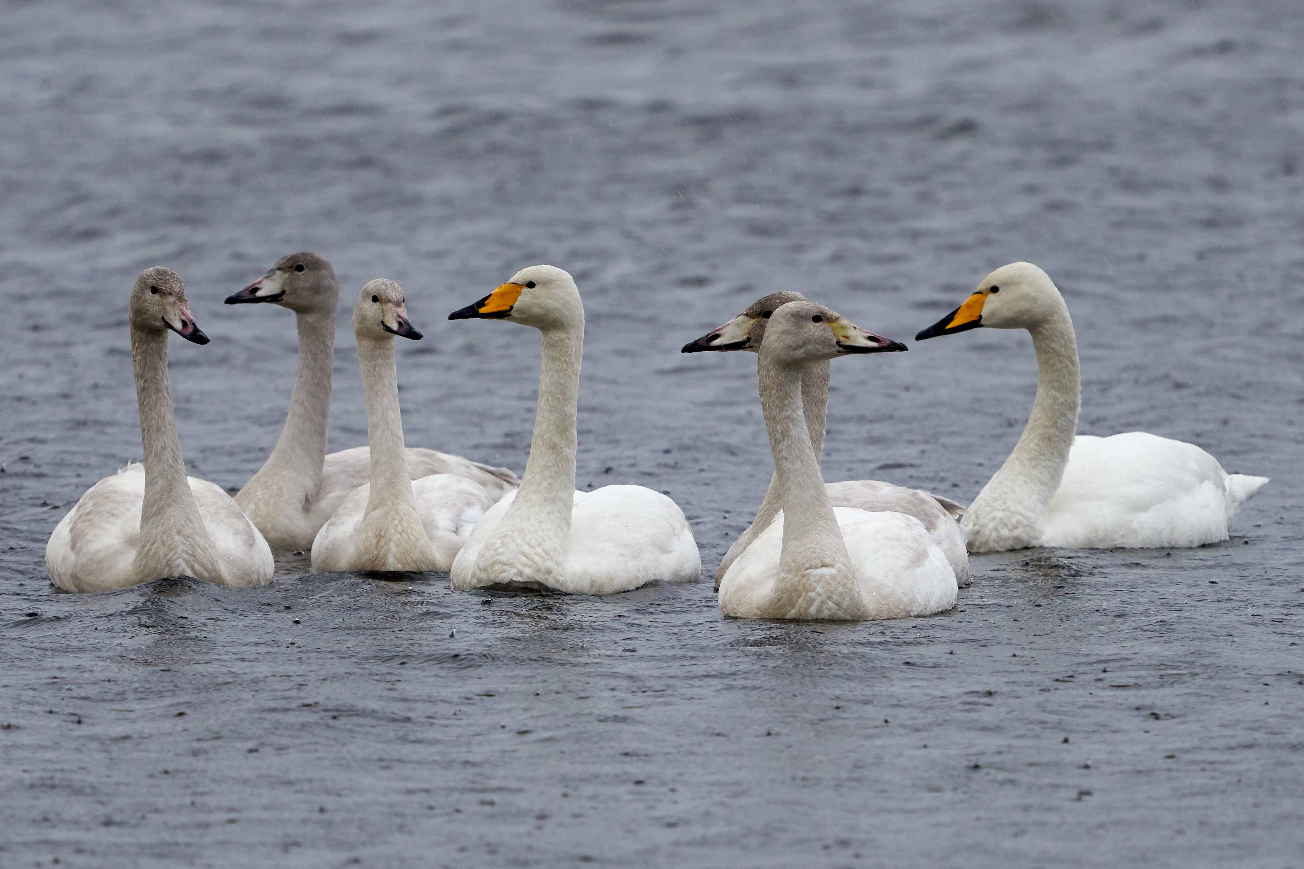 Today's sightings - 23/01/2020