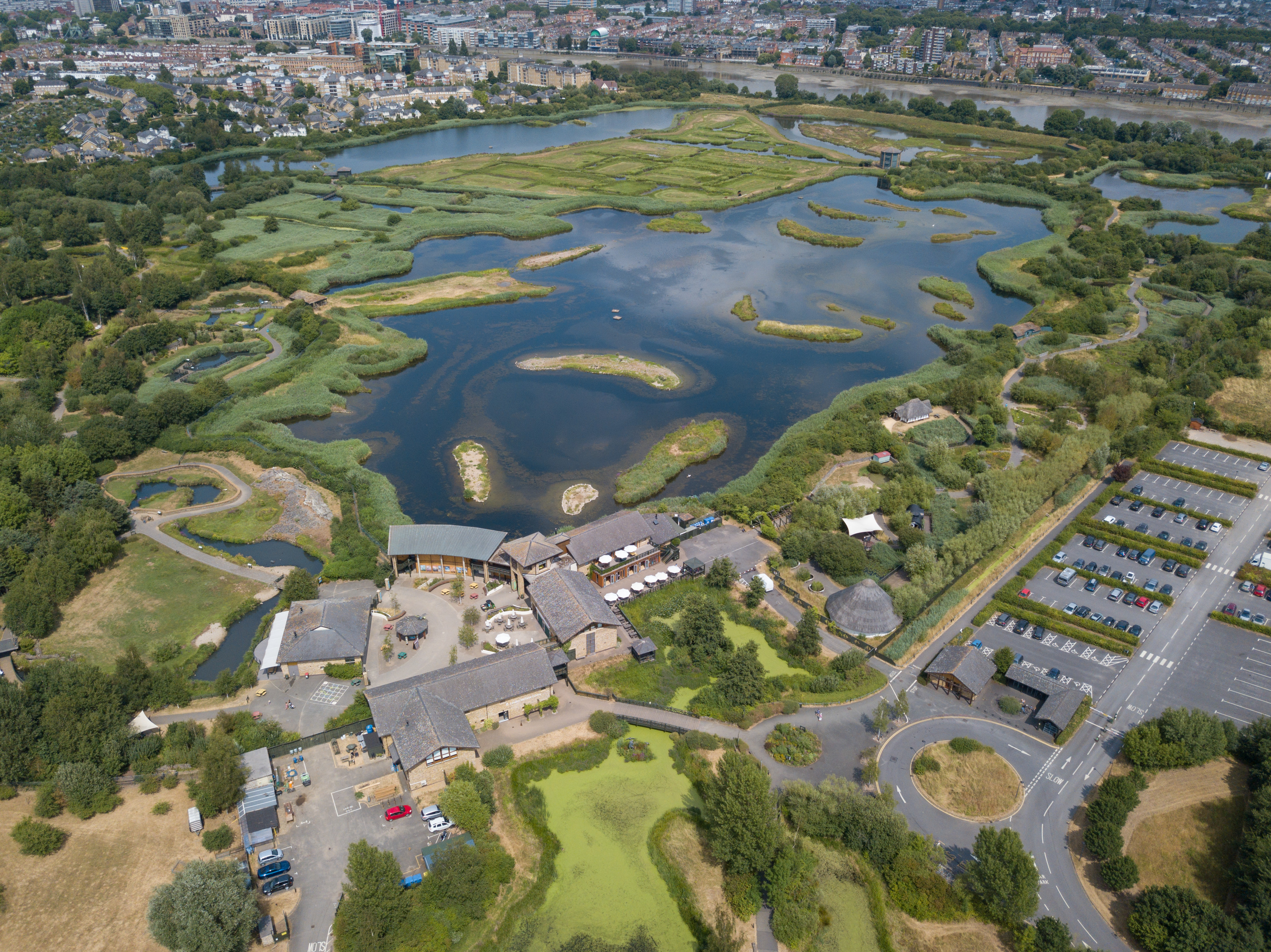 Join us to Celebrate World Wetlands Day!