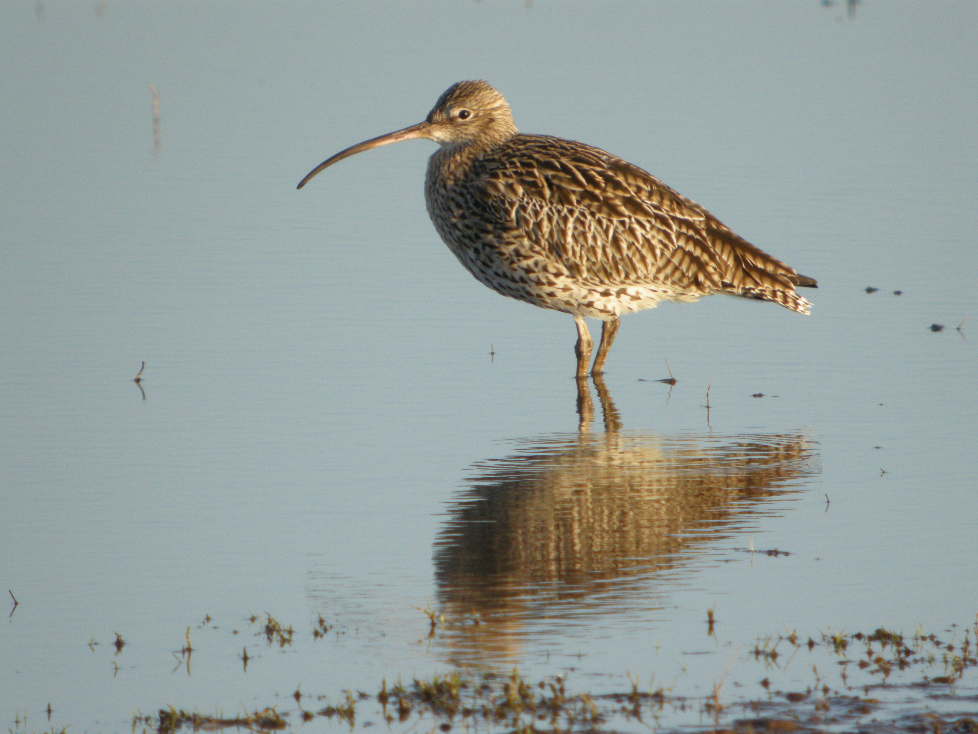 Recent Sightings - 14th September 2020