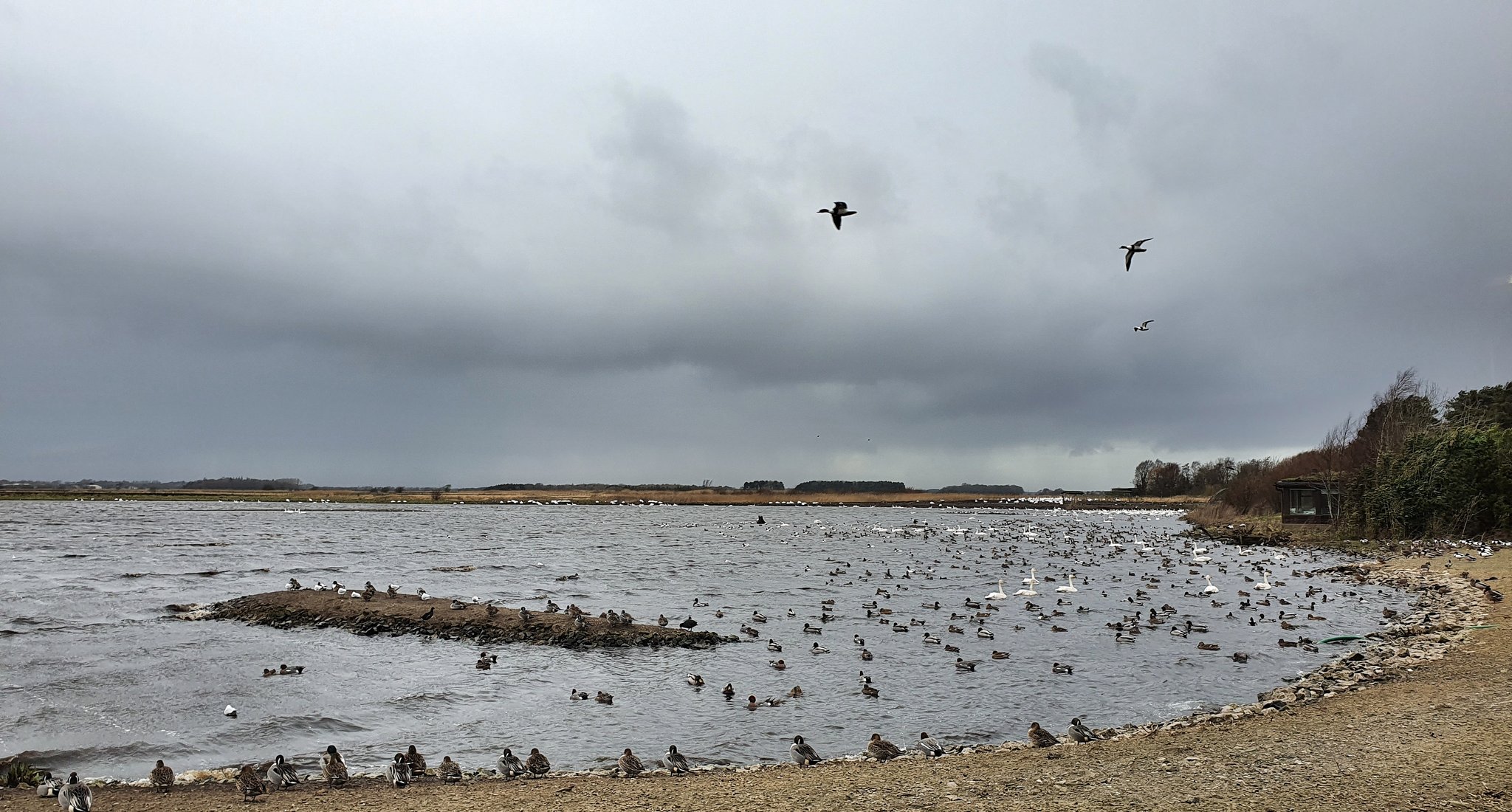 Top tips for wildlife spotting