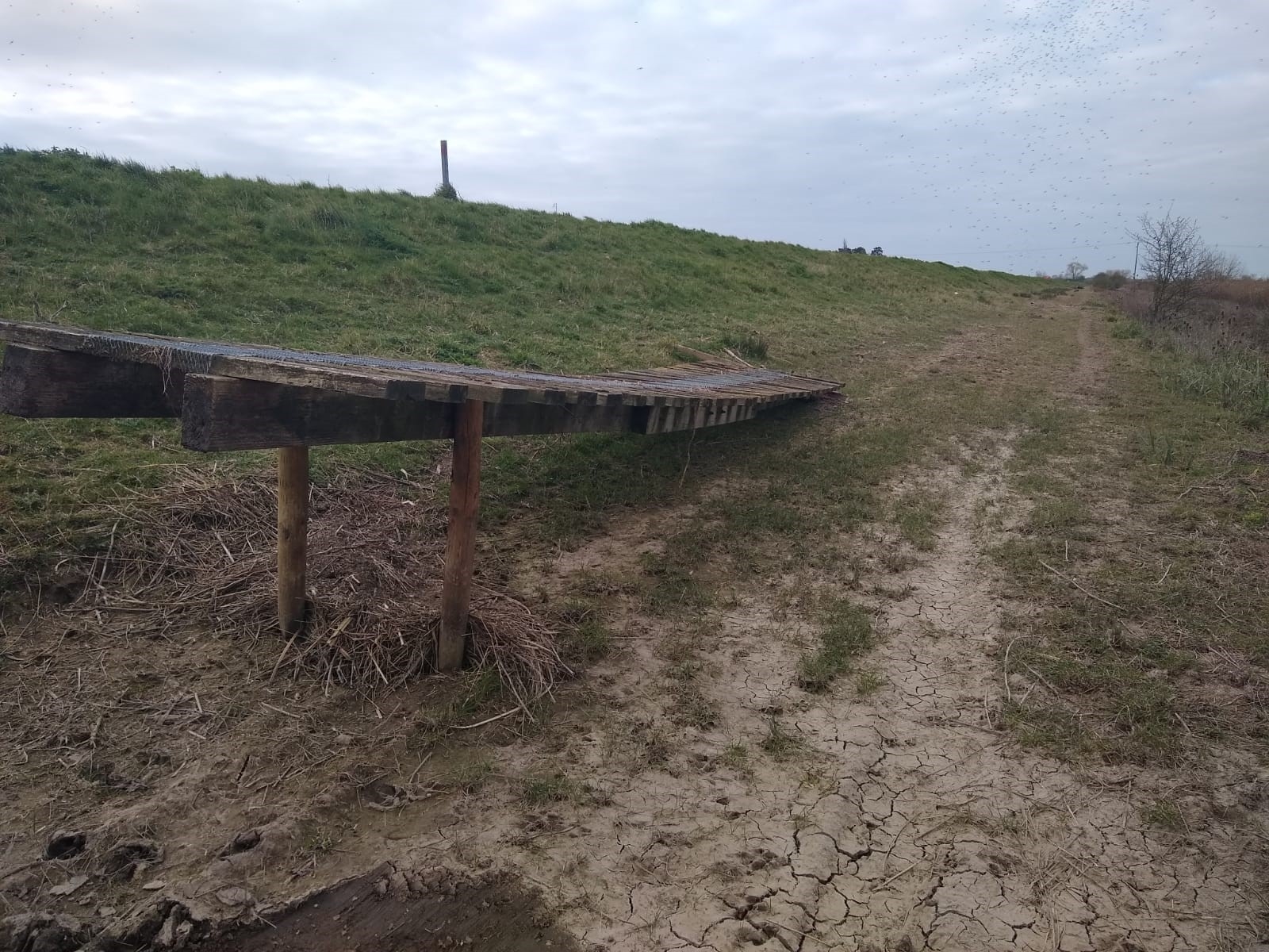 A bike bridge out of the water after winter flooding