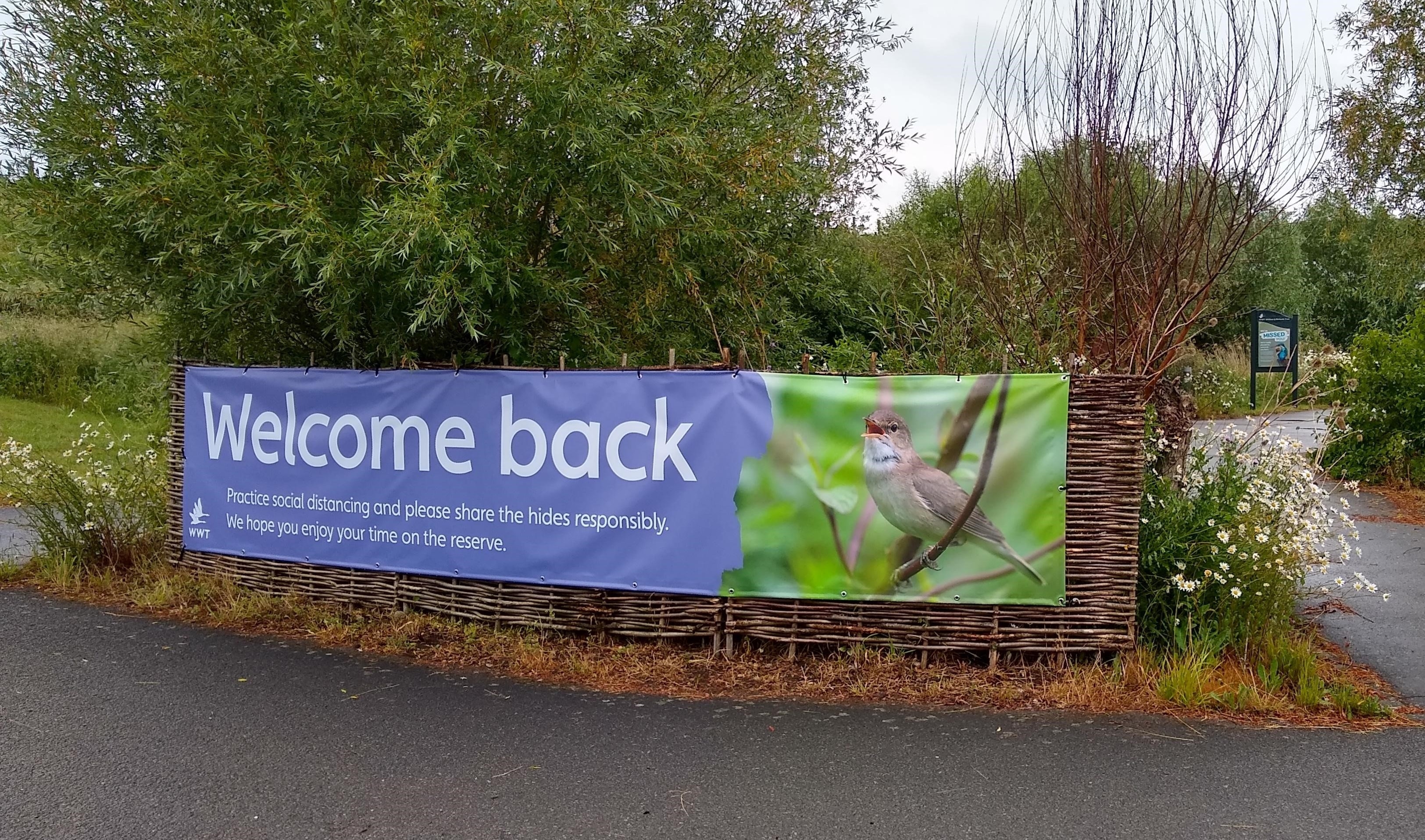 Reserve update - bringing wetland wildlife to you