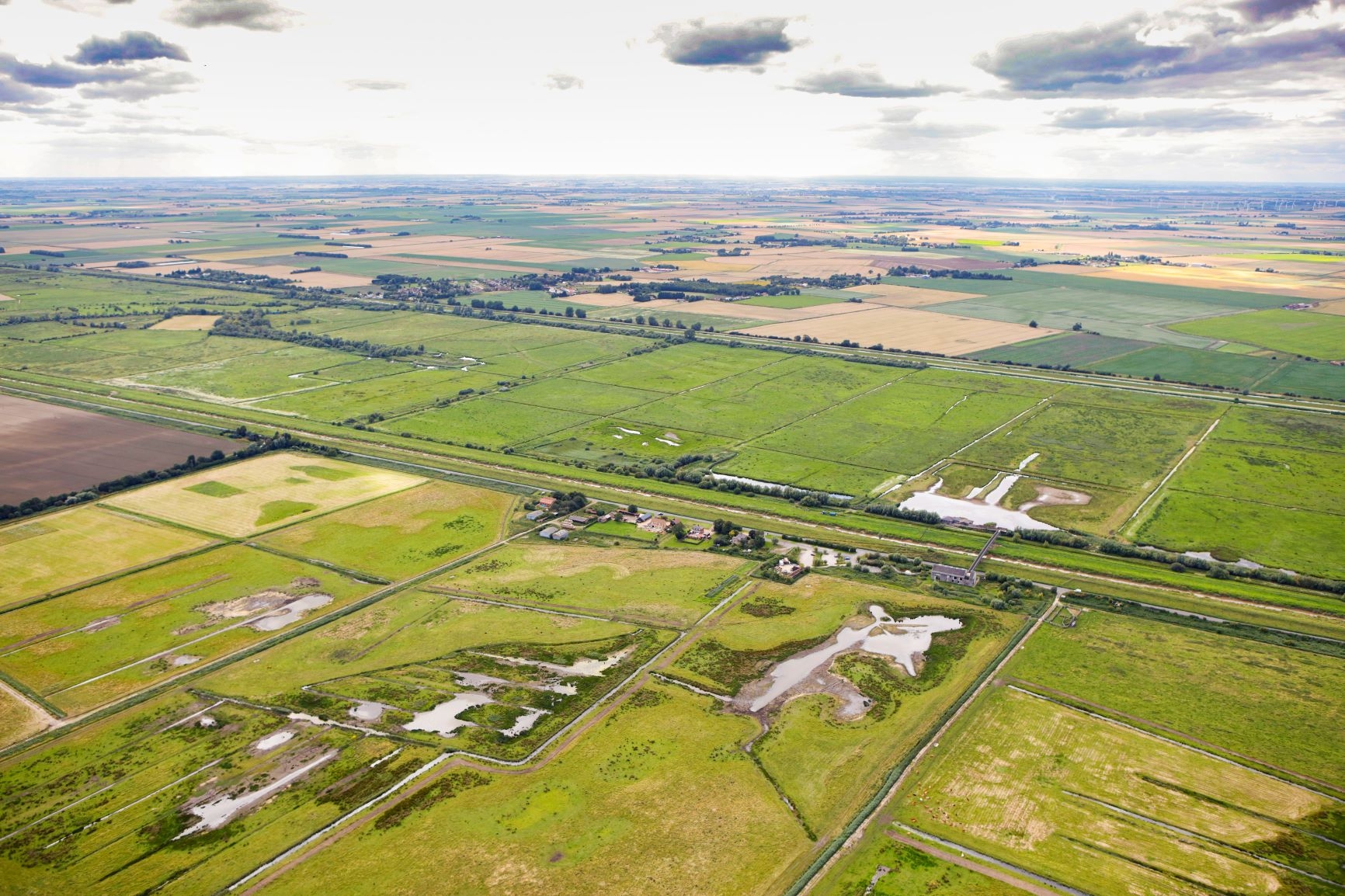 Reserve update - bringing wetland wildlife to you