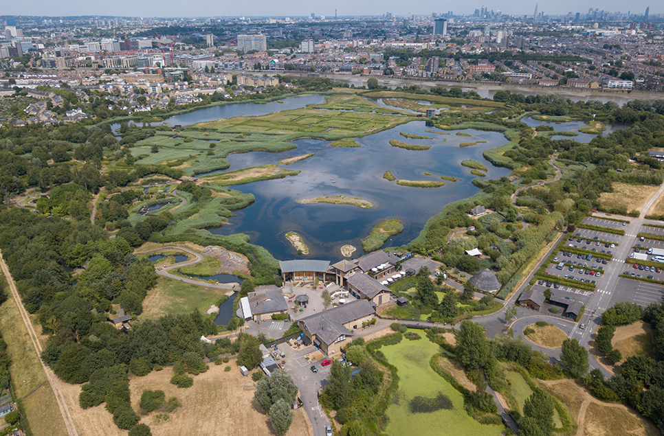 Four ways to celebrate World Wetlands Day 