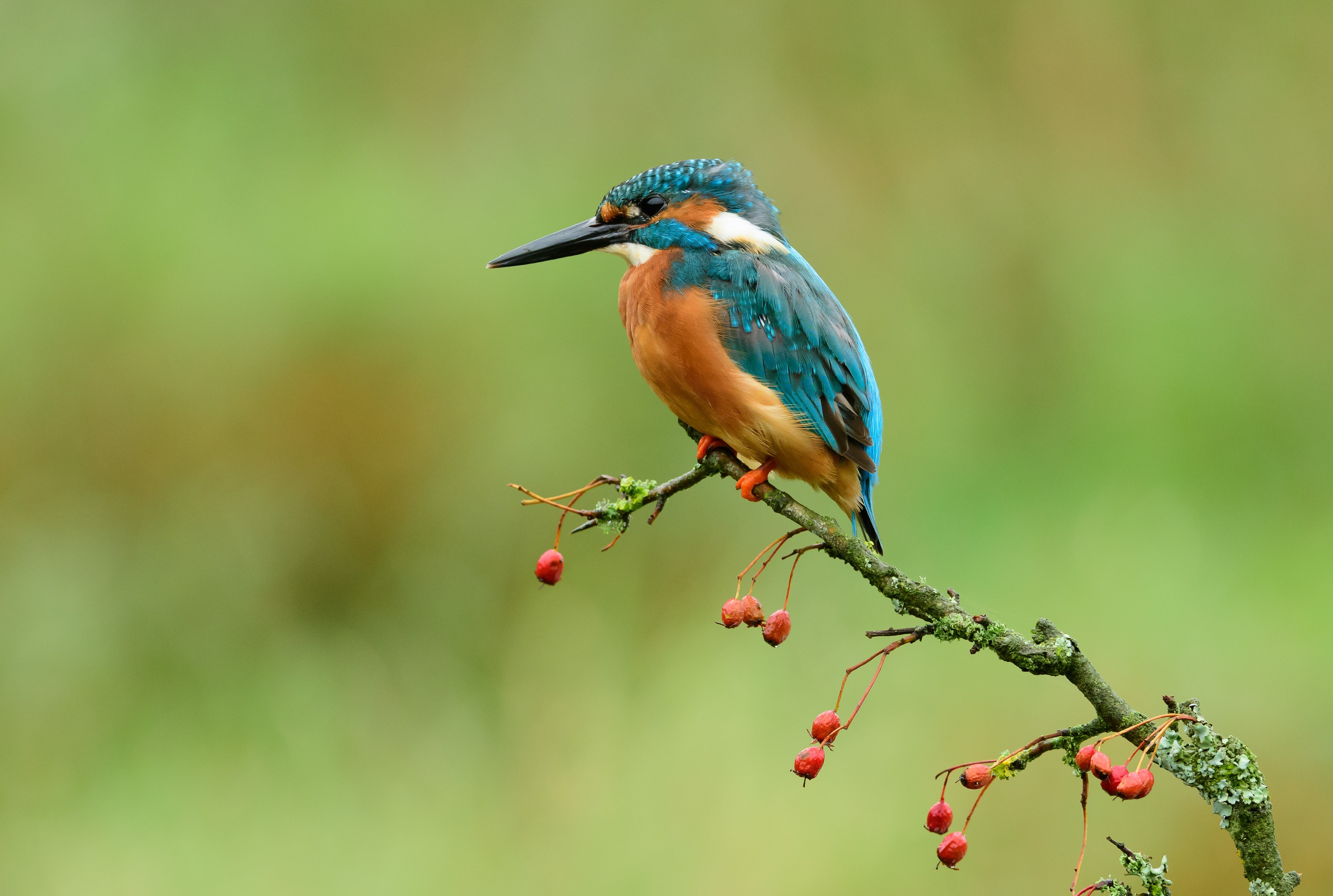 Stewartry Camera Club