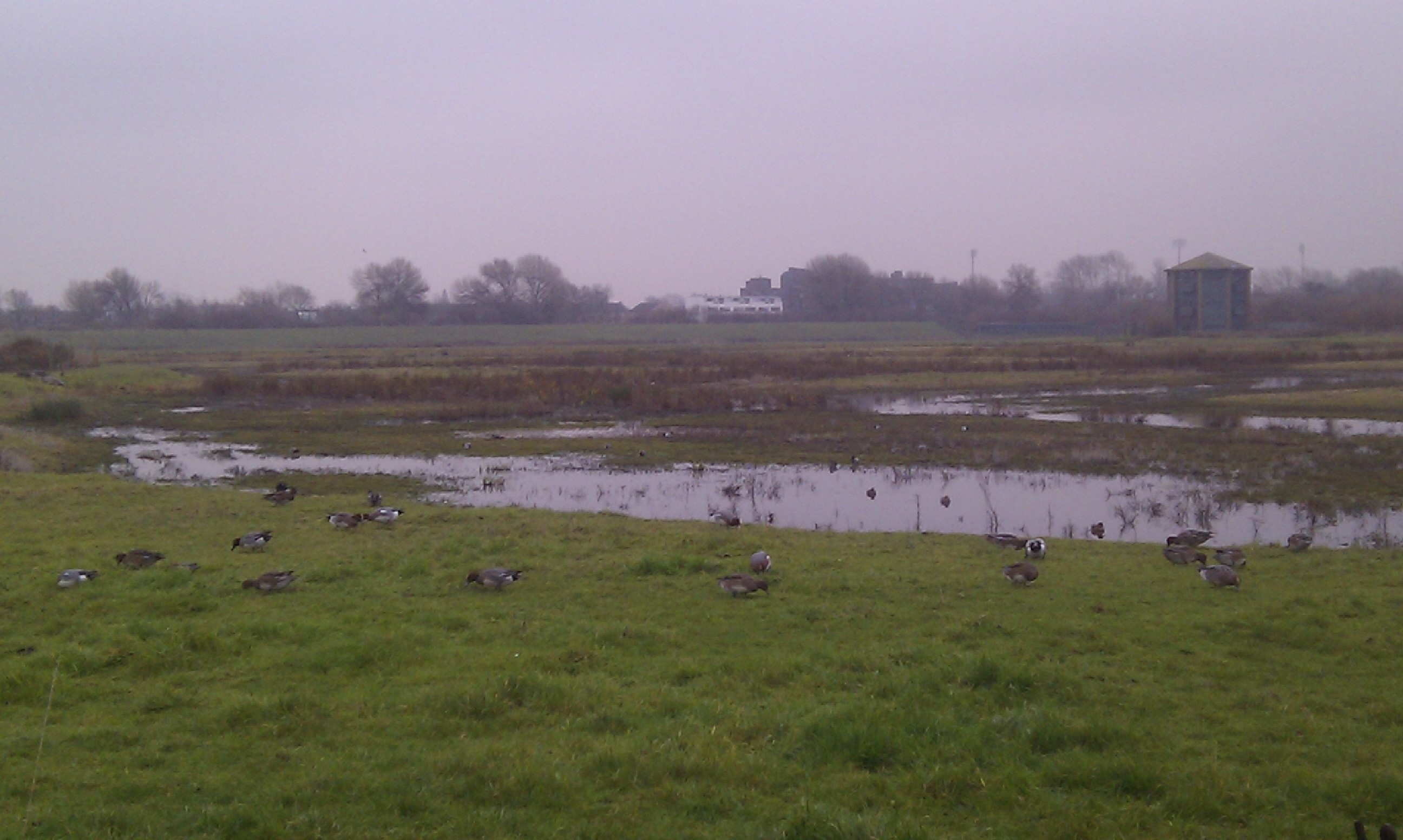 Wildlife sightings for 1st October 2020