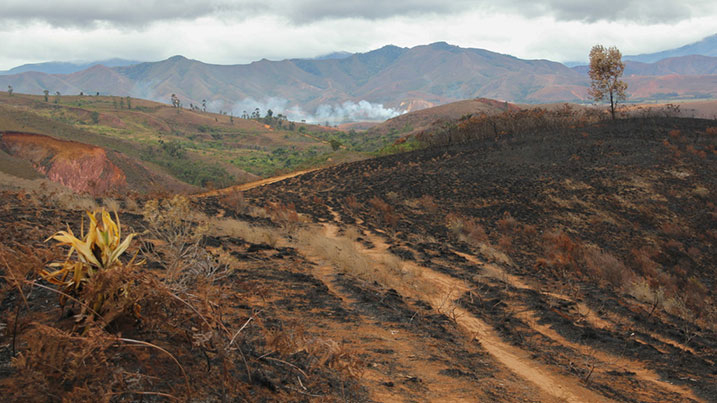 Burning and deforestation Madagascar