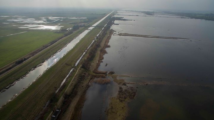 Reserve update - bringing wetland wildlife to you