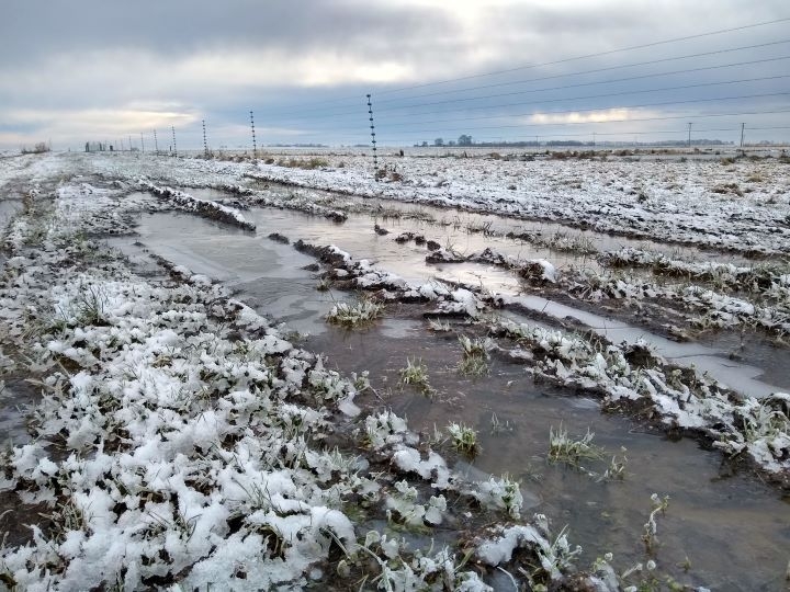 Reserve update - bringing wetland wildlife to you