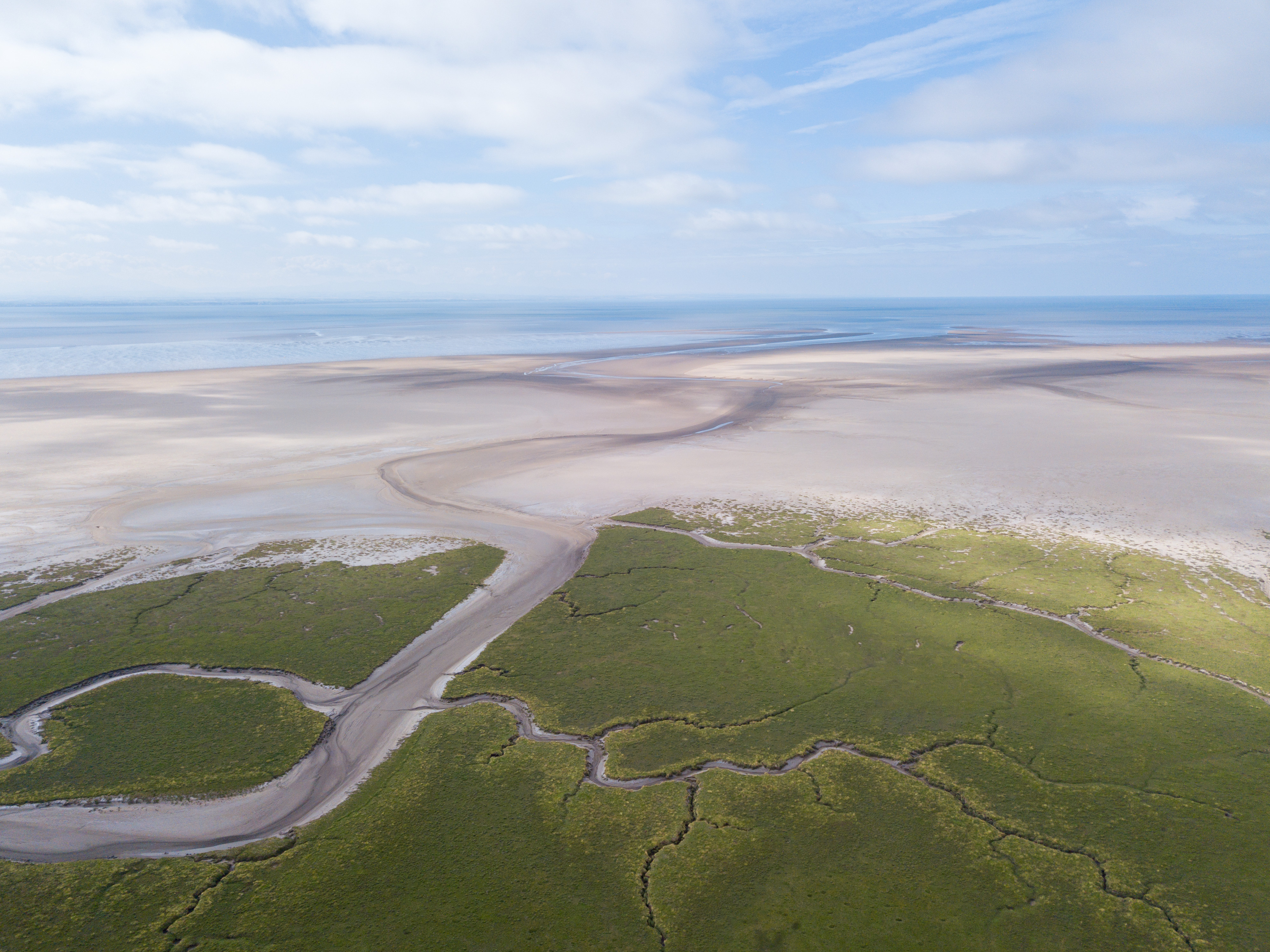 World Wetlands Day