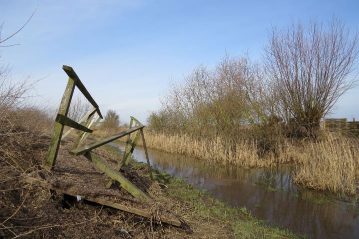 Spring wetland management