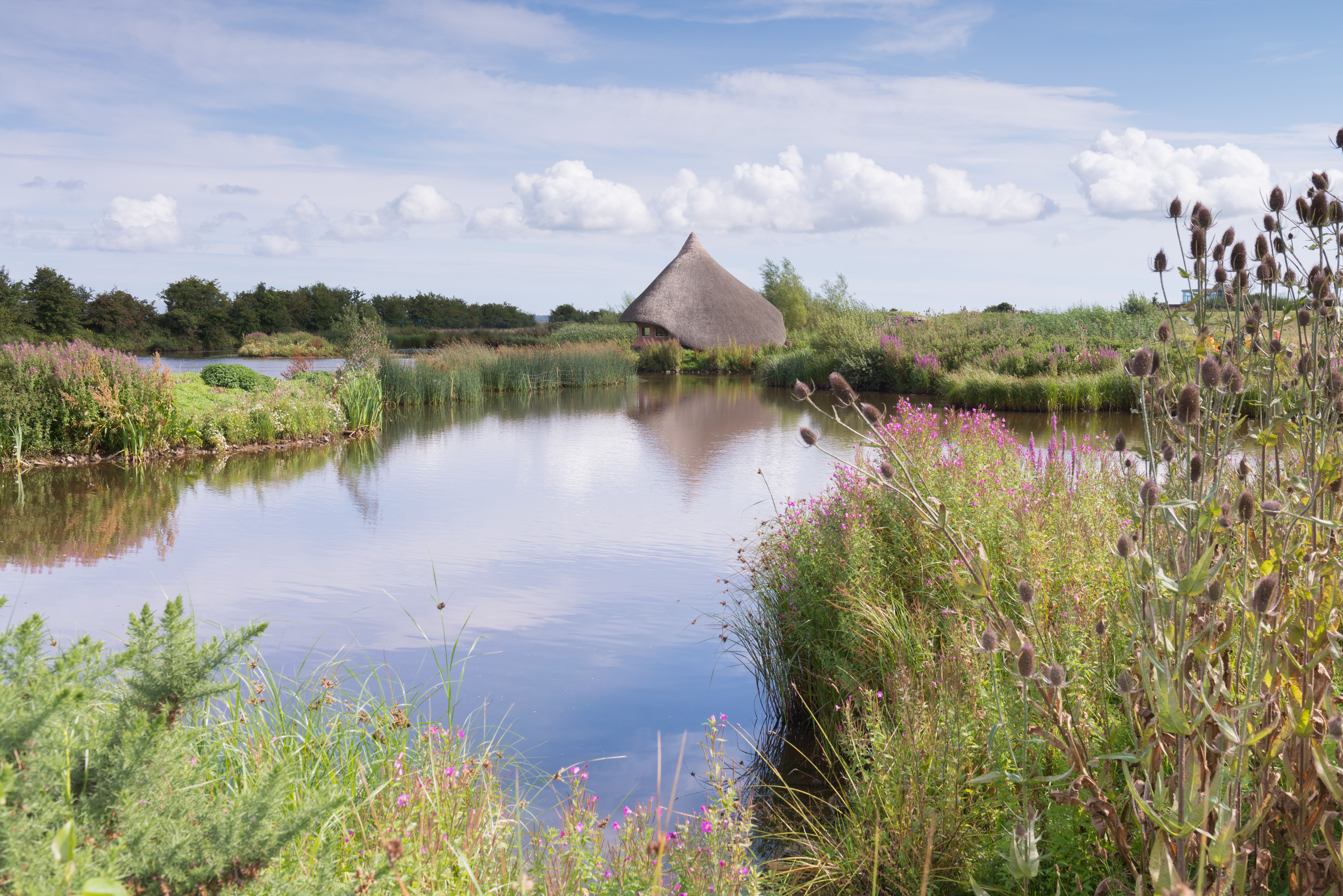 Castle Espie Wetland Centre receives grant of £203,400 from the Heritage Recovery Fund to help recover from the COVID-19 pandemic