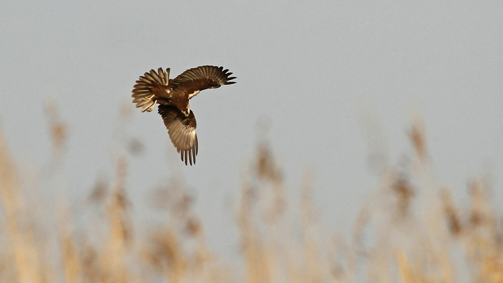 Nature reserve