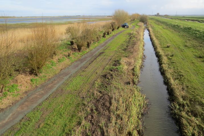 Spring update – wetland management and preparing to re-open