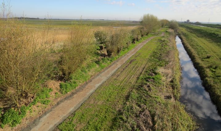 Accessing our wetlands this spring