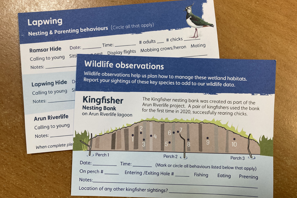 Citizen Science postcards at Arundel