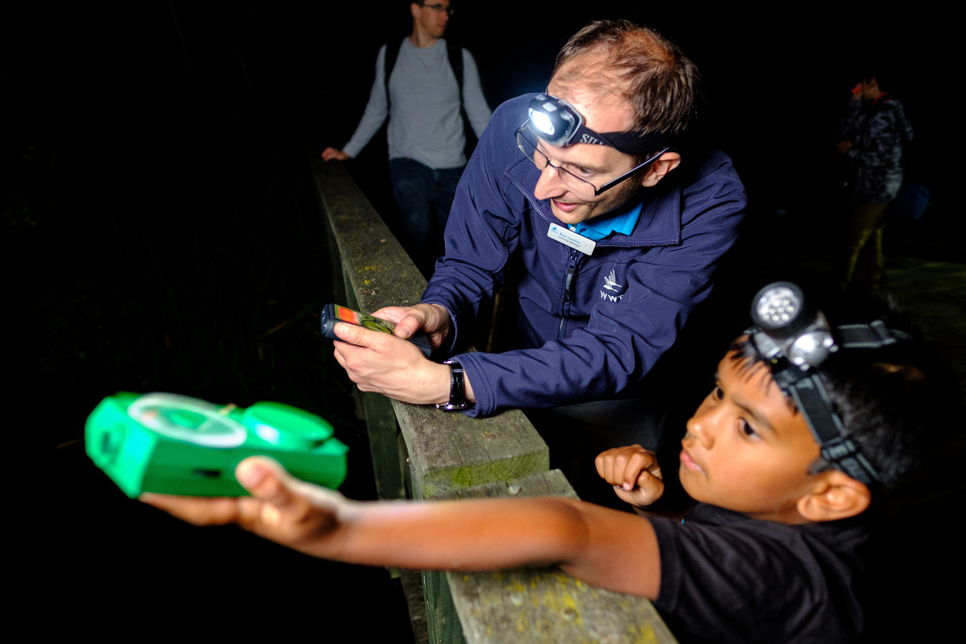 View: Family bat walk