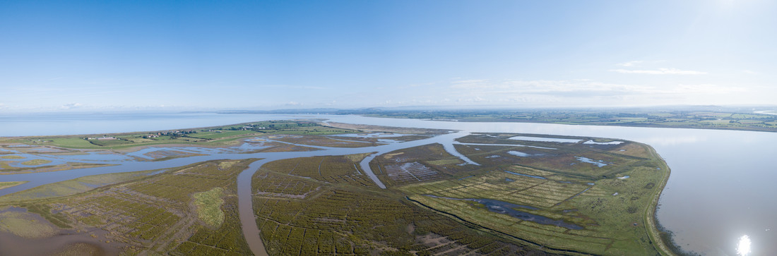 Work Experience at Steart Marshes