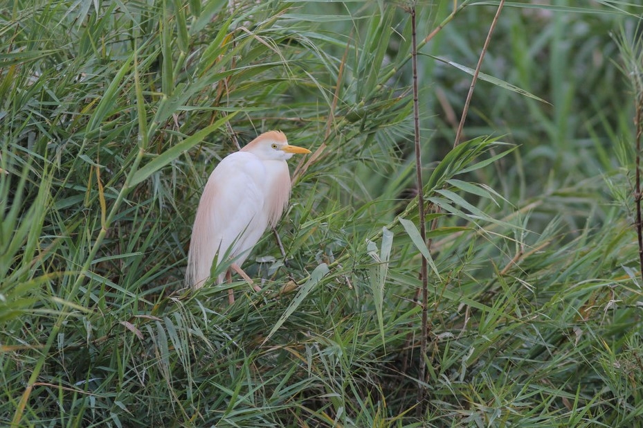 Wildlife sightings for 5th October 2021