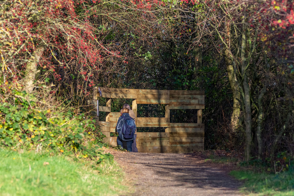 Wildlife spotting hints and tips