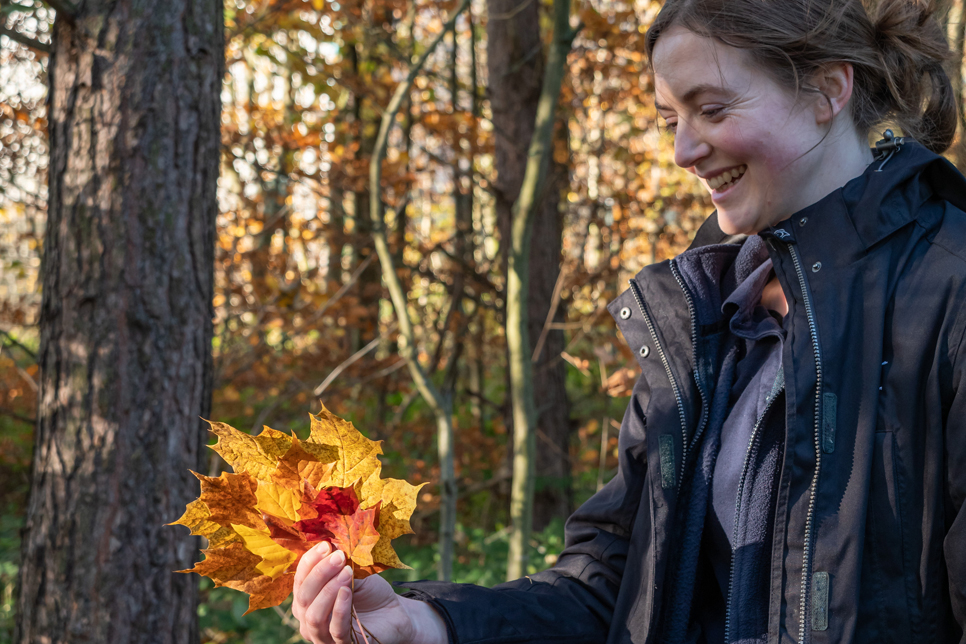 The art in autumn leaves