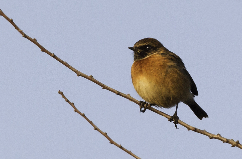 Wildlife sightings for 14th October 2022