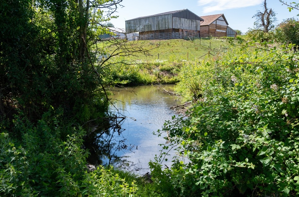 Farmland boost for wetlands welcomed by WWT