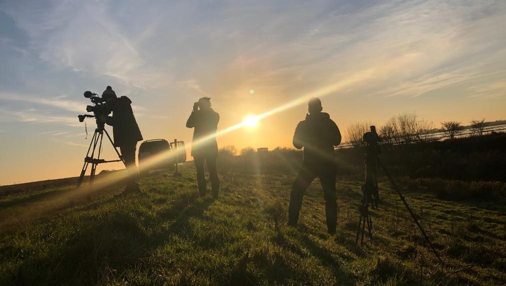 Winterwatch at Welney