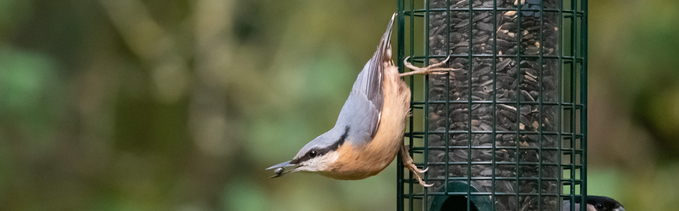 Wildlife Sightings 05/07/2024